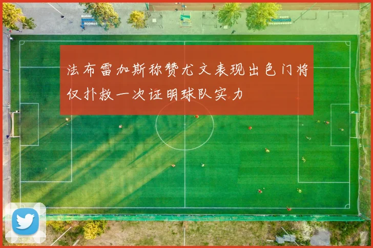 法布雷加斯称赞尤文表现出色门将仅扑救一次证明球队实力