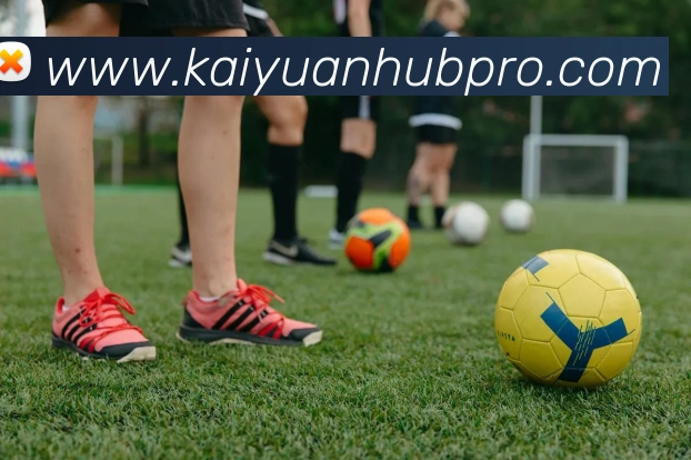 开元竞技APP 封面图